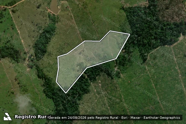 Imagem de satélite de Desmatamento em Porto Velho - RO
