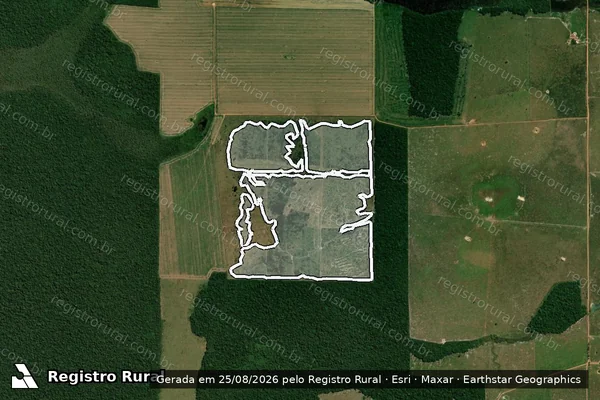 Imagem de satélite de Infração da Flora em São Miguel do Guaporé - RO