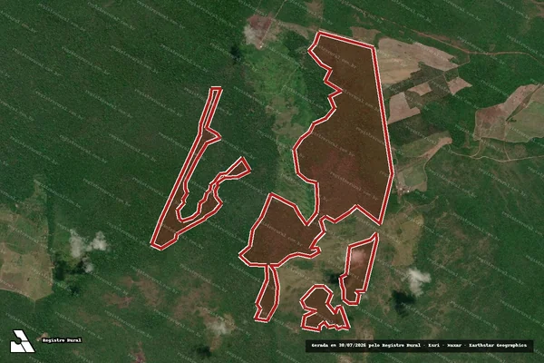 Imagem de satélite de Infração da Flora em Alenquer - PA