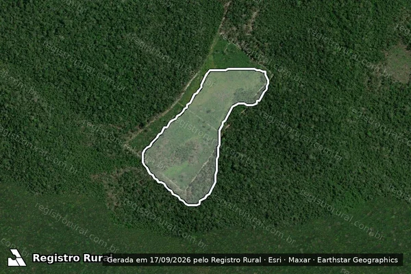 Imagem de satélite — Embargo IBAMA — Infração Ambiental - Rorainópolis/RR