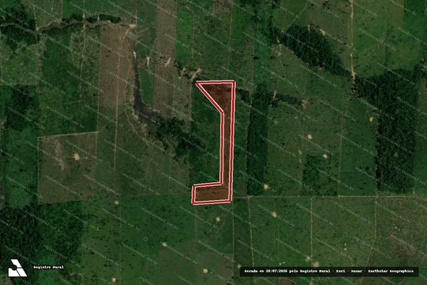 Imagem de satélite de Infração da Flora em Porto Velho - RO