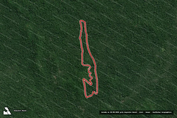 Imagem de satélite de Infração Ambiental em Anapu - PA
