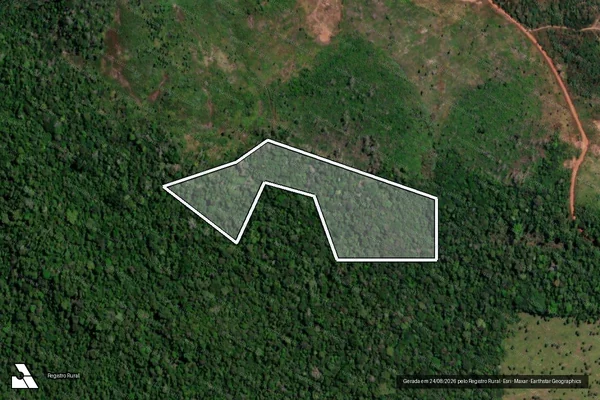 Imagem de satélite de Infração Ambiental em Porto Velho - RO