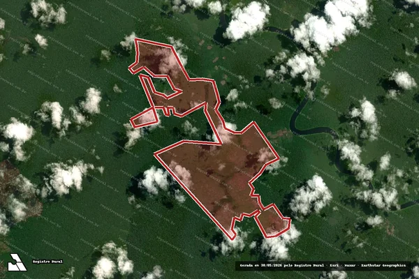 Imagem de satélite de Infração Ambiental em Portel - PA