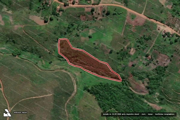 Imagem de satélite de Infração da Flora em Aliança - PE