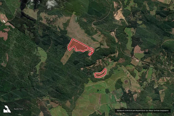 Imagem de satélite de Infração da Flora em União da Vitória - PR