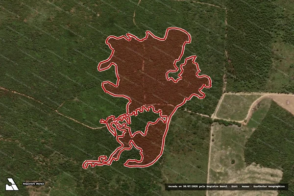 Imagem de satélite de Infração Ambiental em Encruzilhada - BA