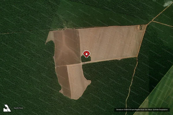 Imagem de satélite de Infração da Flora em Nova Ubiratã - MT (marcador da localização)