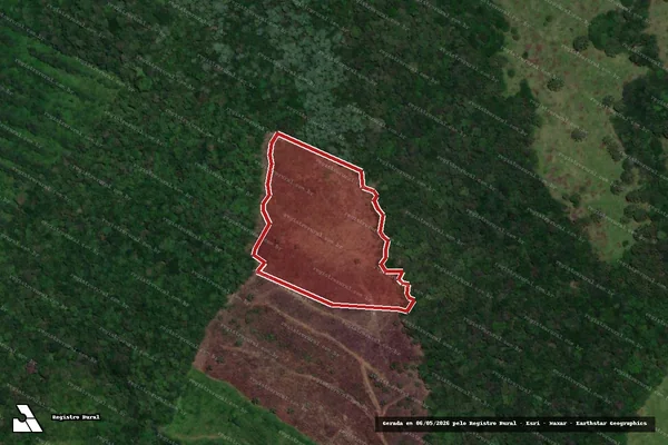 Imagem de satélite de Infração da Flora em Coronel Domingos Soares - PR