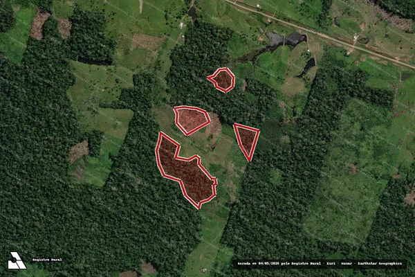 Imagem de satélite de Infração da Flora em Feijó - AC