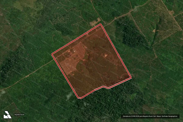 Imagem de satélite de Infração da Flora em Apuí - AM