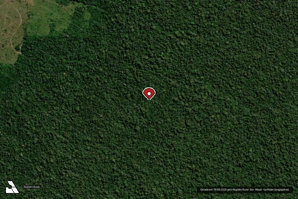 Imagem de satélite de Infração Ambiental em Porto Velho - RO (marcador da localização)