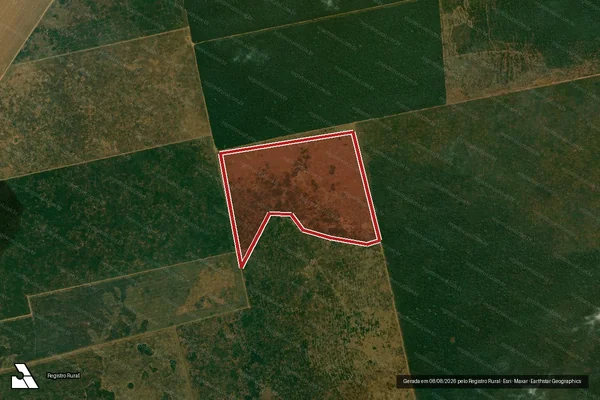 Imagem de satélite de Infração da Flora em Gaúcha do Norte - MT