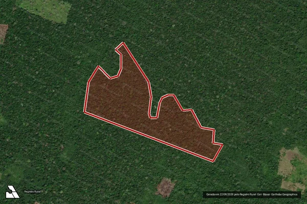 Imagem de satélite de Infração da Flora em Óbidos - PA