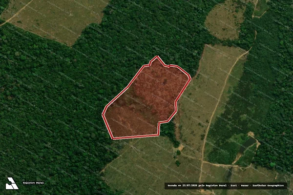 Imagem de satélite — Embargo IBAMA — Infração da Flora - Guajará/AM