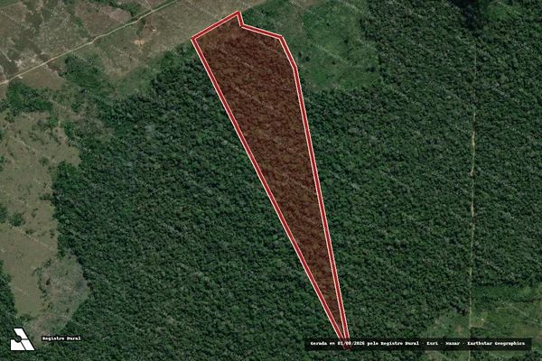 Imagem de satélite de Infração da Flora em Lábrea - AM