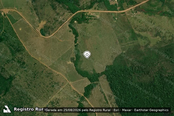 Imagem de satélite de Infração Ambiental em Apuí - AM (marcador da localização)