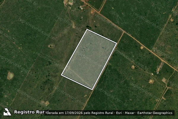 Imagem de satélite — Embargo IBAMA — Infração Ambiental - Porto Velho/RO