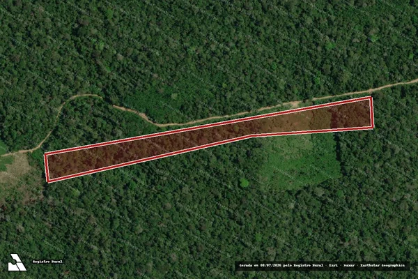 Imagem de satélite de Infração da Flora em Rorainópolis - RR