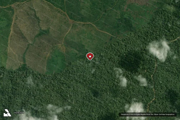 Imagem de satélite de Infração Ambiental em Portel - PA (marcador da localização)