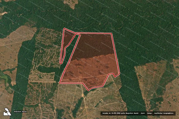 Imagem de satélite de Infração da Flora em Apiacás - MT