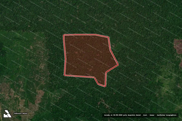 Imagem de satélite de Infração da Flora em Lábrea - AM
