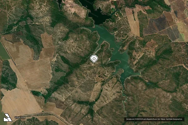 Imagem de satélite de Infração Ambiental em Niquelândia - GO (marcador da localização)