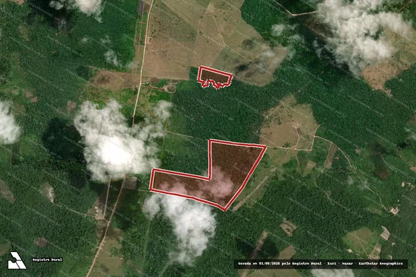 Imagem de satélite de Infração da Flora em Laranjal do Jari - AP