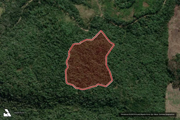 Imagem de satélite de Infração Ambiental em União da Vitória - PR