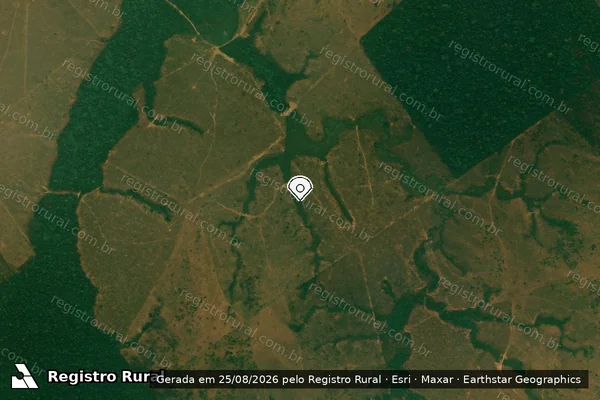 Imagem de satélite de Infração da Flora em Porto Velho - RO (marcador da localização)
