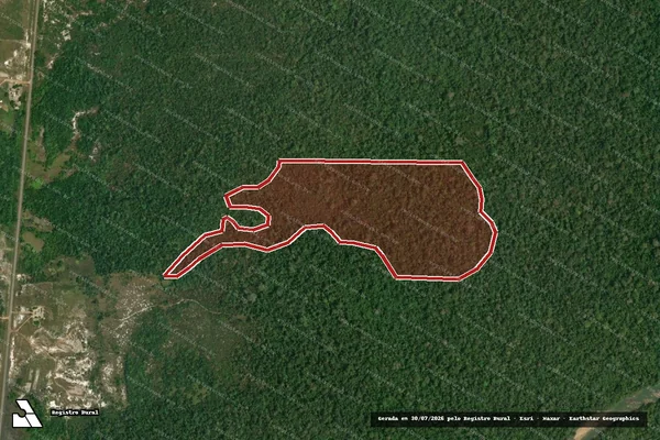 Imagem de satélite — Embargo IBAMA — Infração da Flora - Rorainópolis/RR