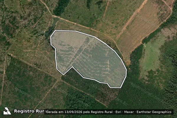 Imagem de satélite de Infração da Flora em Manicoré - AM