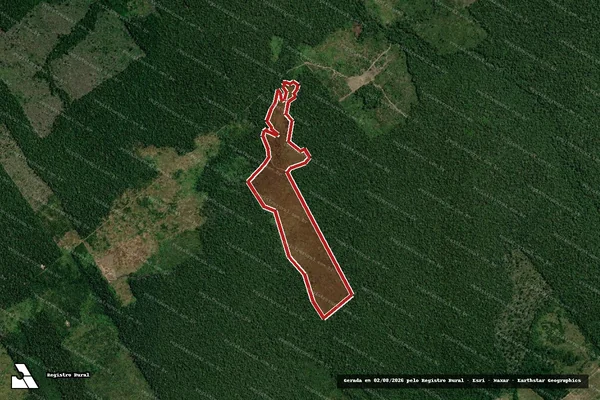Imagem de satélite de Infração Ambiental em Humaitá - AM