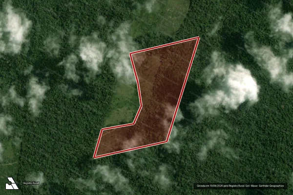 Imagem de satélite de Infração Ambiental em Portel - PA
