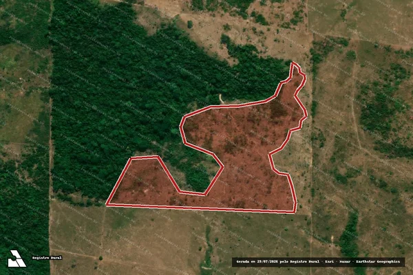 Imagem de satélite de Infração Ambiental em São Félix do Xingu - PA