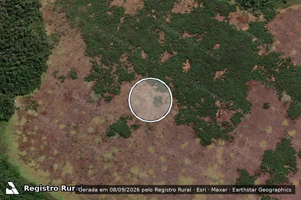 Imagem de satélite de Infração da Flora em Nova Ubiratã - MT