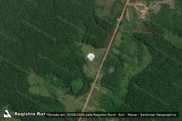 Imagem de satélite de Infração Ambiental em Tapauá - AM (marcador da localização)
