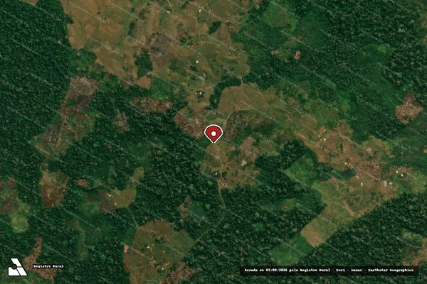 Imagem de satélite de Infração da Flora em Feijó - AC (marcador da localização)