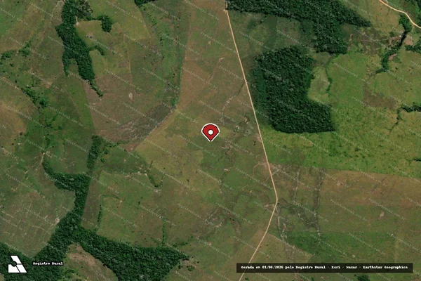 Imagem de satélite de Infração Ambiental em Envira - AM (marcador da localização)