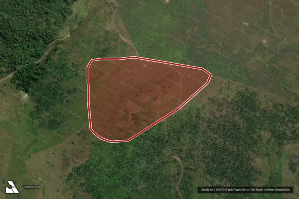 Imagem de satélite de Desmatamento em São Félix do Xingu - PA