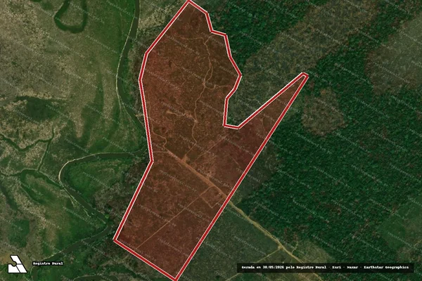Imagem de satélite de Infração da Flora em Porto Velho - RO