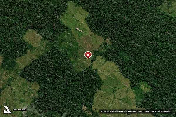 Imagem de satélite de Infração da Flora em Sena Madureira - AC (marcador da localização)
