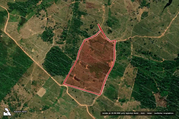 Imagem de satélite — Embargo IBAMA — Infração da Flora - Acrelândia/AC
