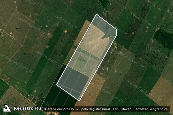 Imagem de satélite de Infração da Flora em Porto Velho - RO