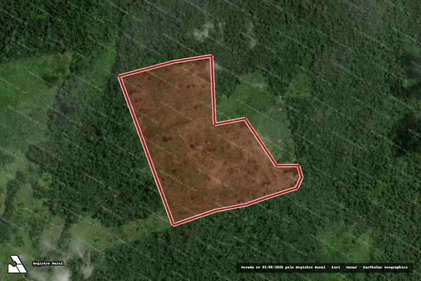Imagem de satélite de Infração Ambiental em São Félix do Xingu - PA