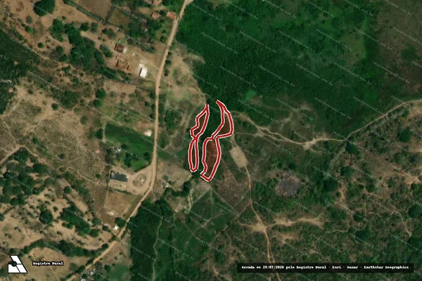 Imagem de satélite — Embargo IBAMA — Infração da Flora — Santana do São Francisco/SE