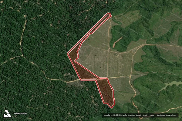 Imagem de satélite de Infração Ambiental em Dom Eliseu - PA