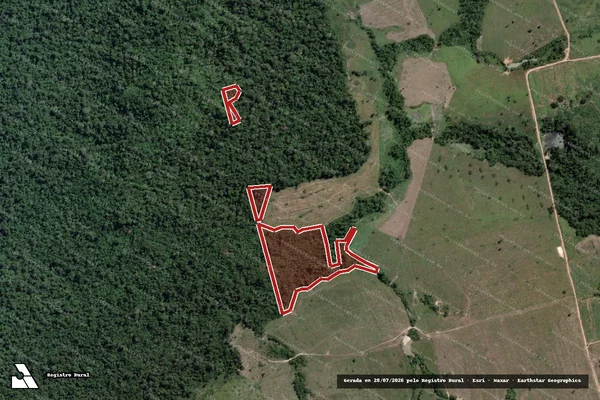 Imagem de satélite de Infração da Flora em Novo Progresso - PA