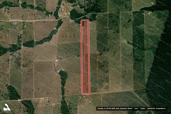 Imagem de satélite de Infração da Flora em Cotriguaçu - MT