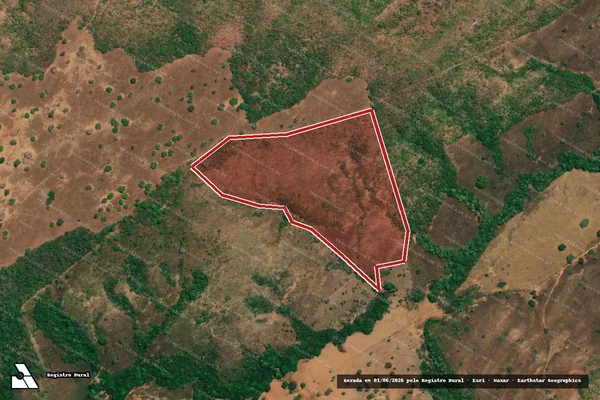 Imagem de satélite de Infração da Flora em Palmeirópolis - TO